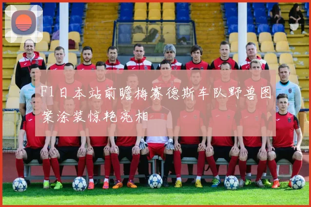 F1日本站前瞻梅赛德斯车队野兽图案涂装惊艳亮相