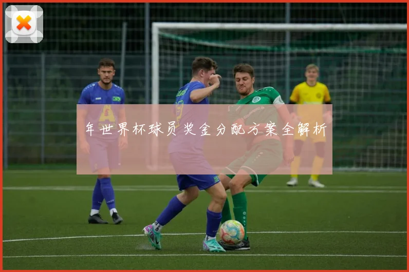 年世界杯球员奖金分配方案全解析