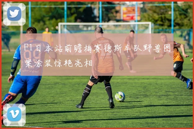 F1日本站前瞻梅赛德斯车队野兽图案涂装惊艳亮相