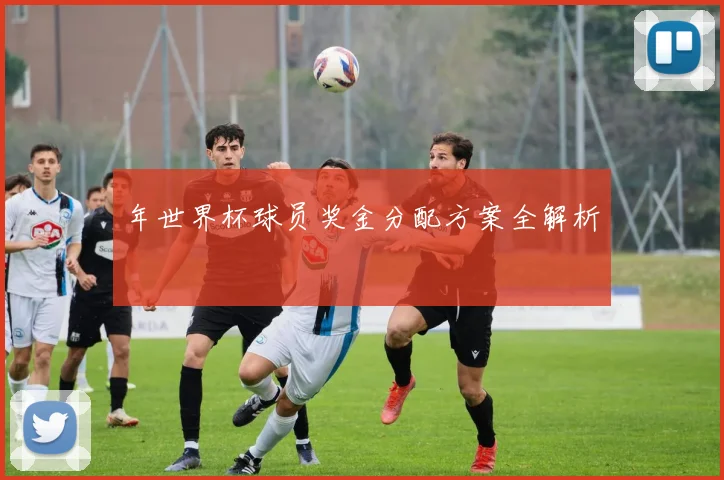 年世界杯球员奖金分配方案全解析