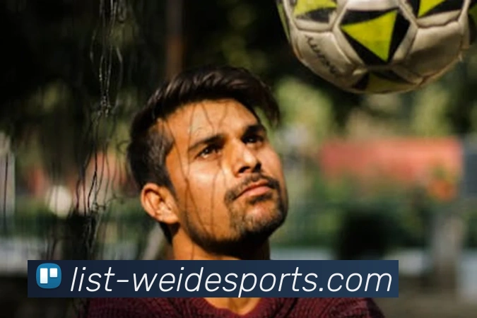 伟德体育平台生态图