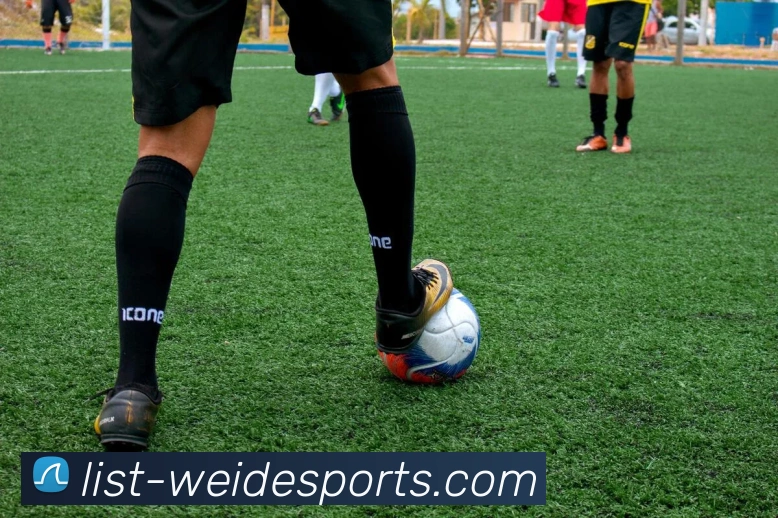 伟德体育全站App